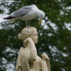 Halifax Gardens-Statue