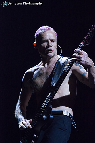 Red Hot-Chili-Peppers-2